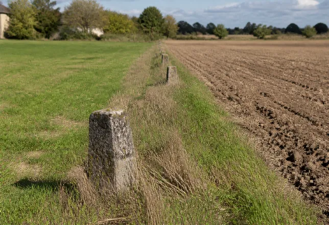 Bornage d’un terrain de plus de 30 ans : validité, preuves et démarches